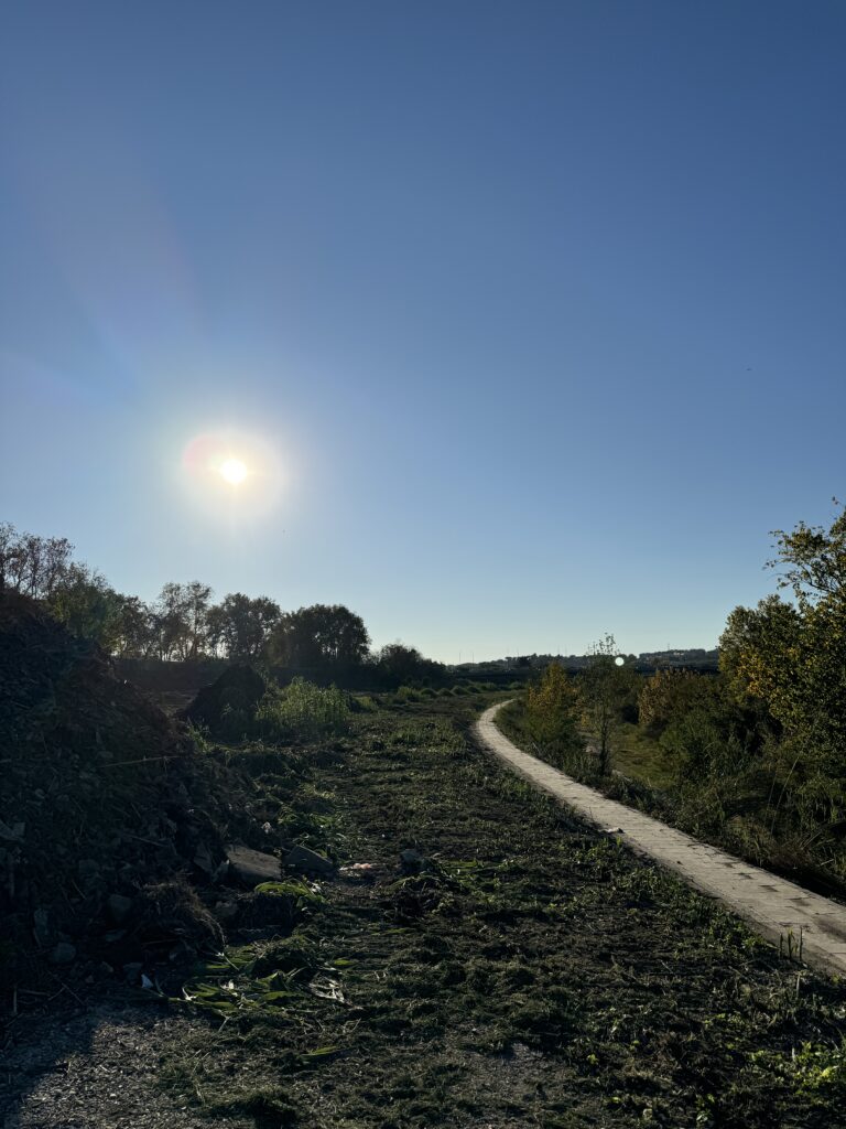 PARCO TEVERE ROMA SUD [INTRA OPERAM]
