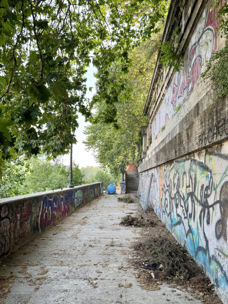 TEVEREVER [ANTE OPERAM]