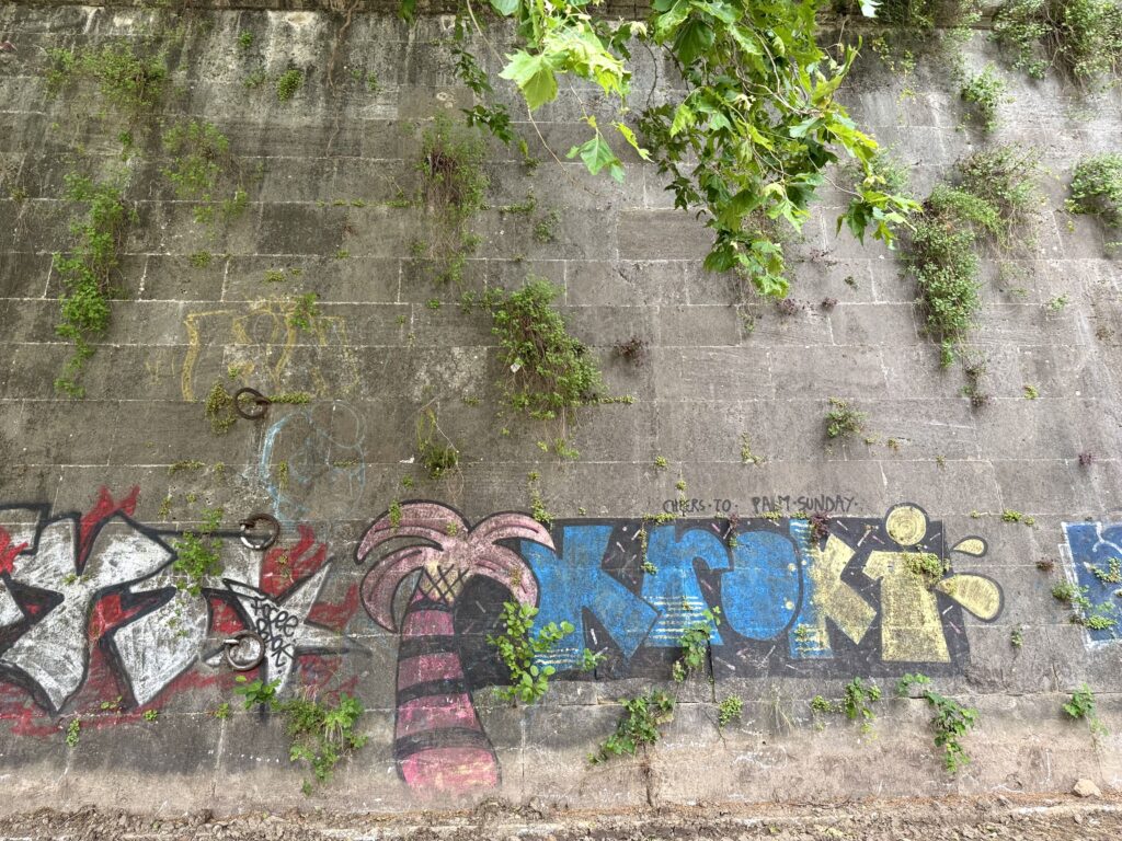 TEVEREVER [ANTE OPERAM]