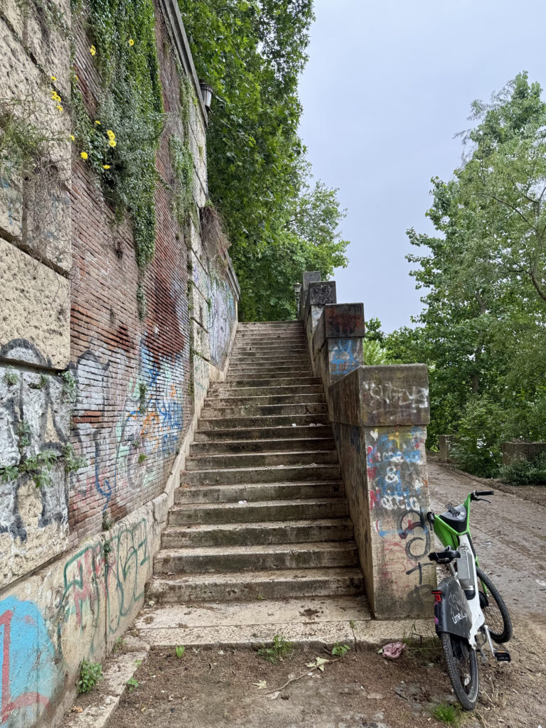 TEVEREVER [ANTE OPERAM]