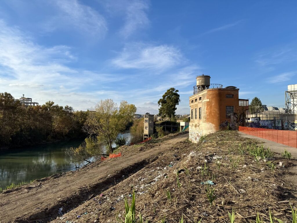 PARCO TEVERE ROMA SUD [INTRA OPERAM]
