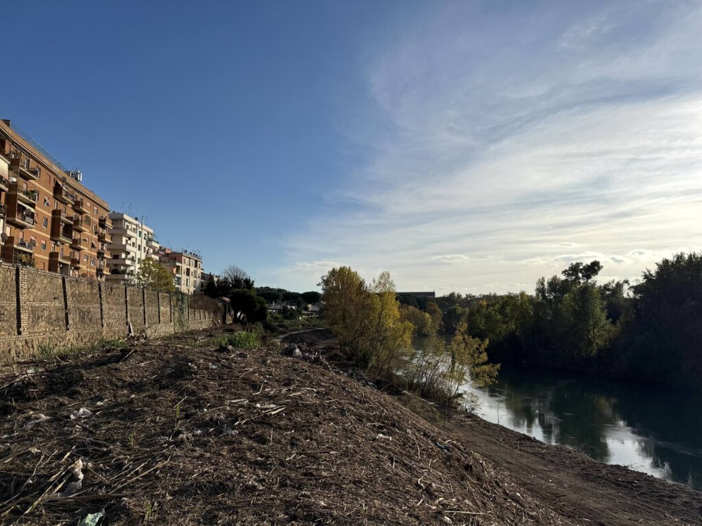 PARCO TEVERE ROMA SUD [INTRA OPERAM]