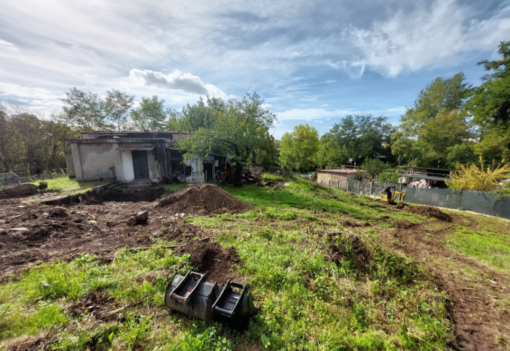 VILLA ROMANA DI RIPA MAMMEA [INTRA OPERAM]