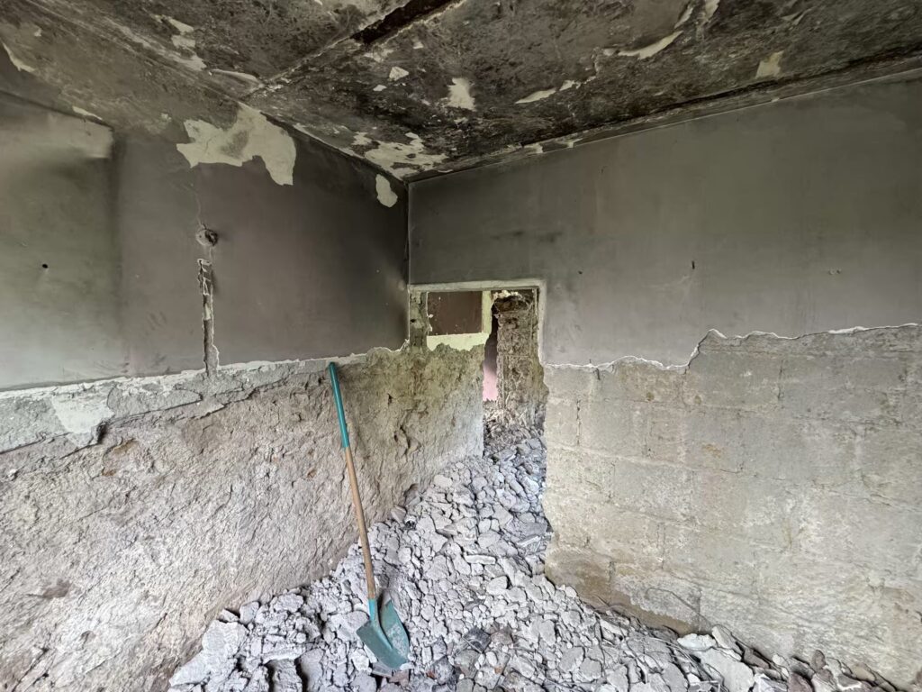 VILLA ROMANA DI RIPA MAMMEA [INTRA OPERAM]