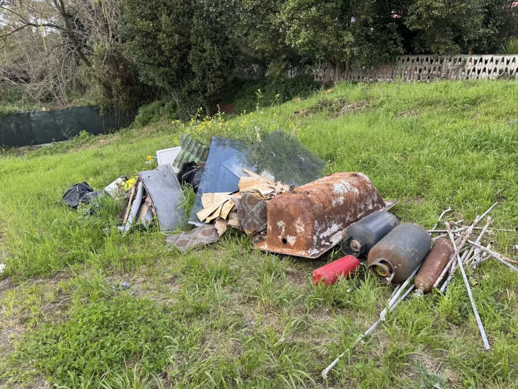 VILLA ROMANA DI RIPA MAMMEA [INTRA OPERAM]