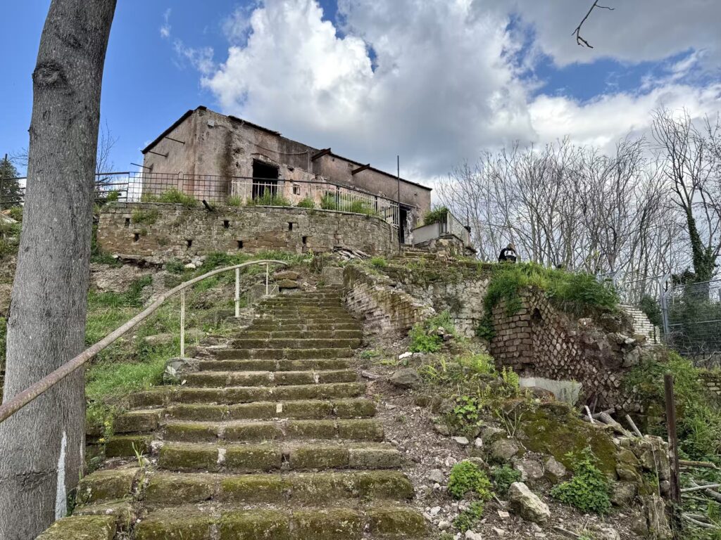 VILLA ROMANA DI RIPA MAMMEA [INTRA OPERAM]