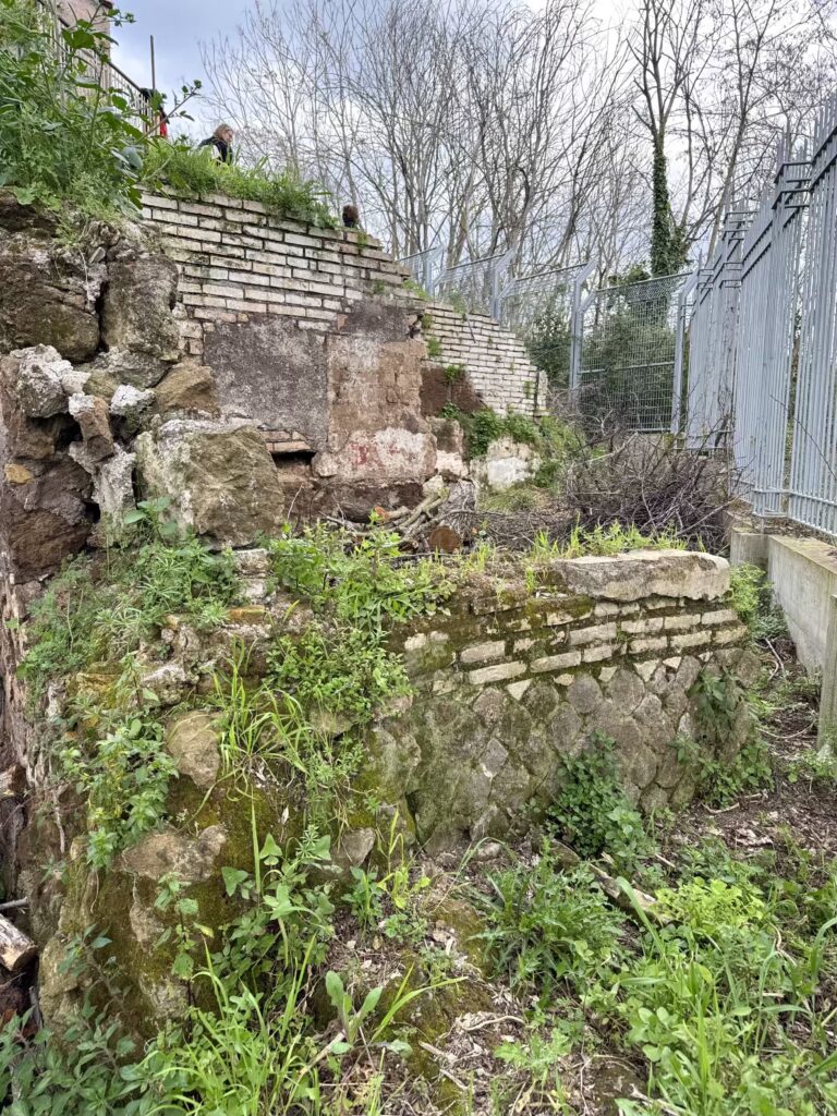 VILLA ROMANA DI RIPA MAMMEA [INTRA OPERAM]