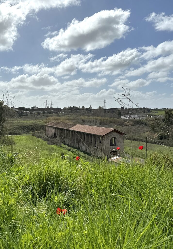 PARCO LAURENTINO E CASALE SAN SISTO [ANTE OPERAM]