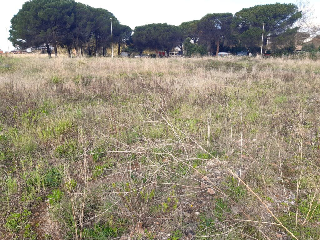VILLA DI DRAGONCELLO [ANTE OPERAM]