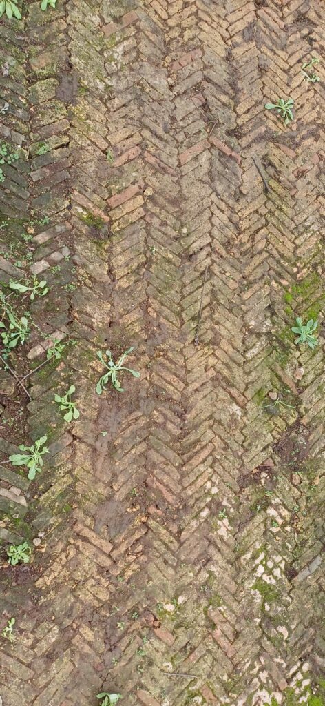 VILLA F DI DRAGONCELLO [INTRA OPERAM]