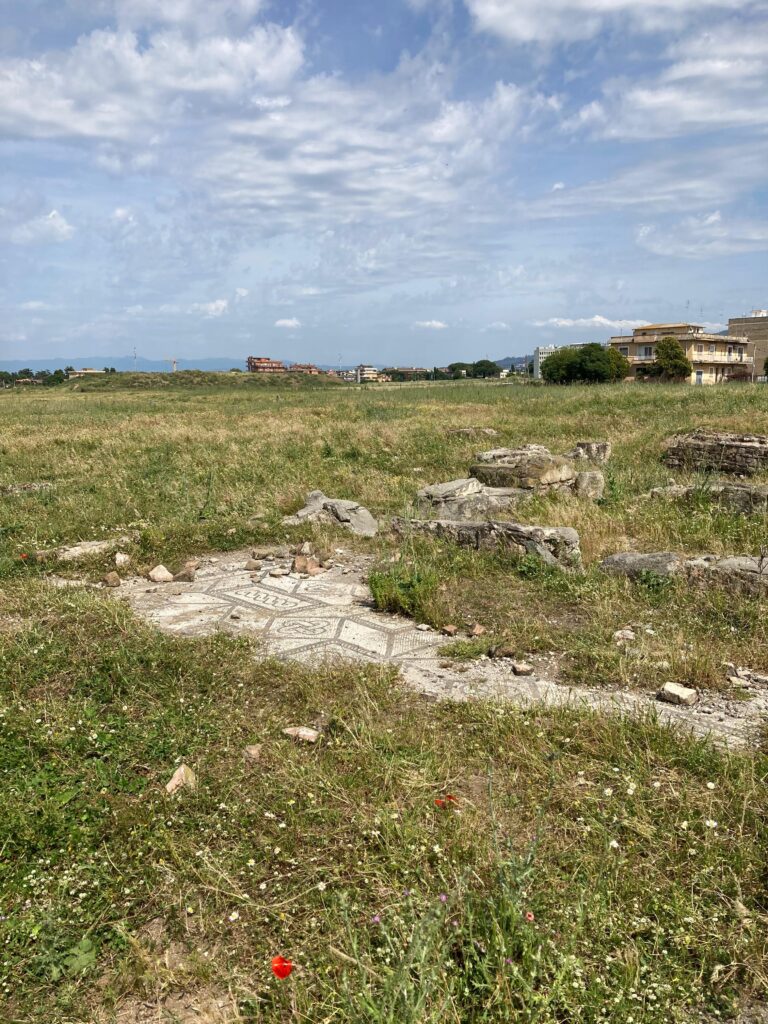 AREA ARCHEOLOGIA DELLA VILLA ANAGNINA [ANTE OPERAM]