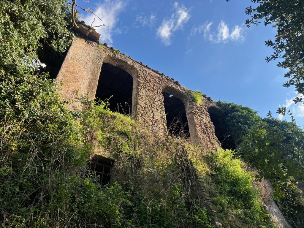 CASALE DELLA CERVELLETTA [ANTE OPERAM]