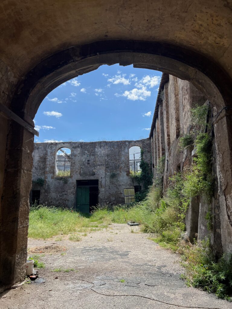 CASALE DELLA CERVELLETTA [ANTE OPERAM]