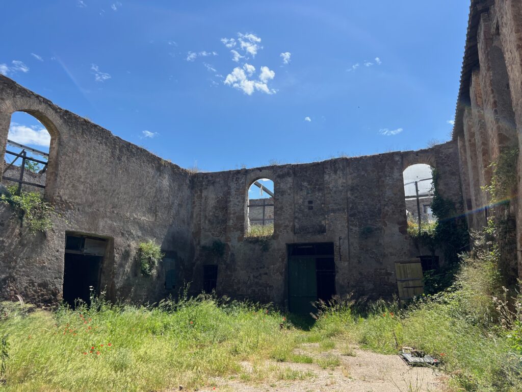 CASALE DELLA CERVELLETTA [ANTE OPERAM]