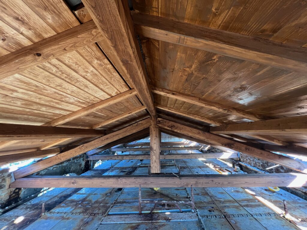 CASALE DELLA CERVELLETTA [INTRA OPERAM]