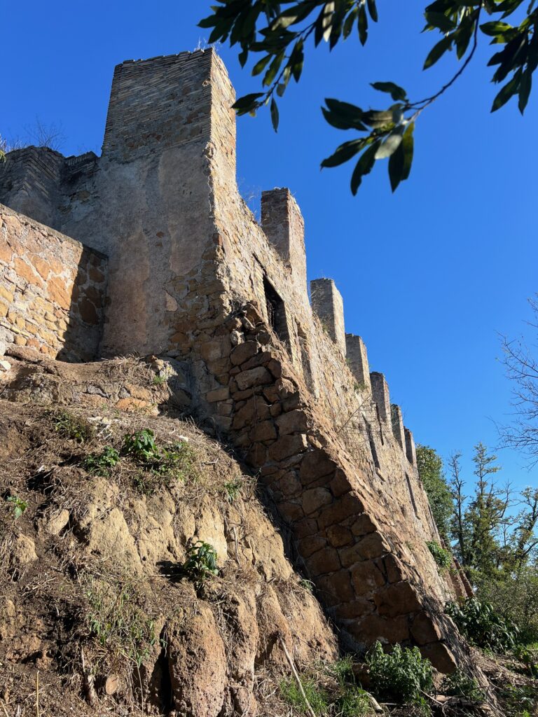 CASALE DELLA CERVELLETTA [INTRA OPERAM]