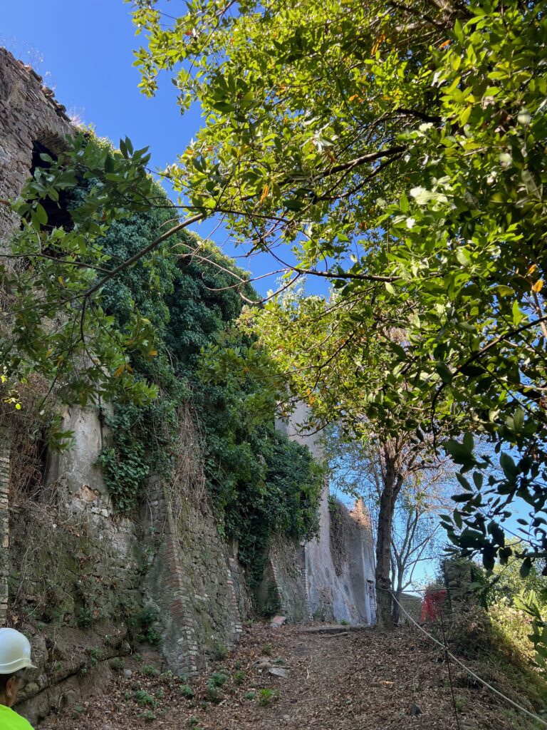 CASALE DELLA CERVELLETTA [INTRA OPERAM]