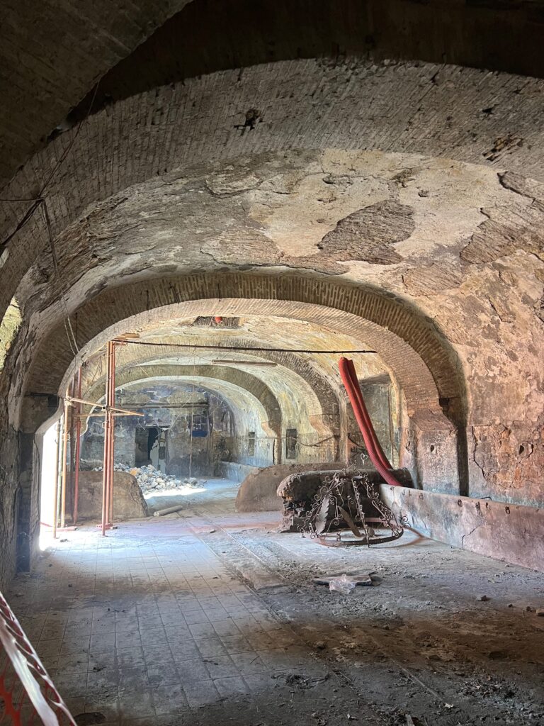 CASALE DELLA CERVELLETTA [ANTE OPERAM]