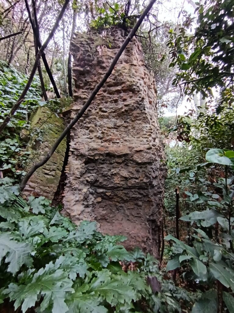 VILLA CELIMONTANA - [ANTE OPERAM]