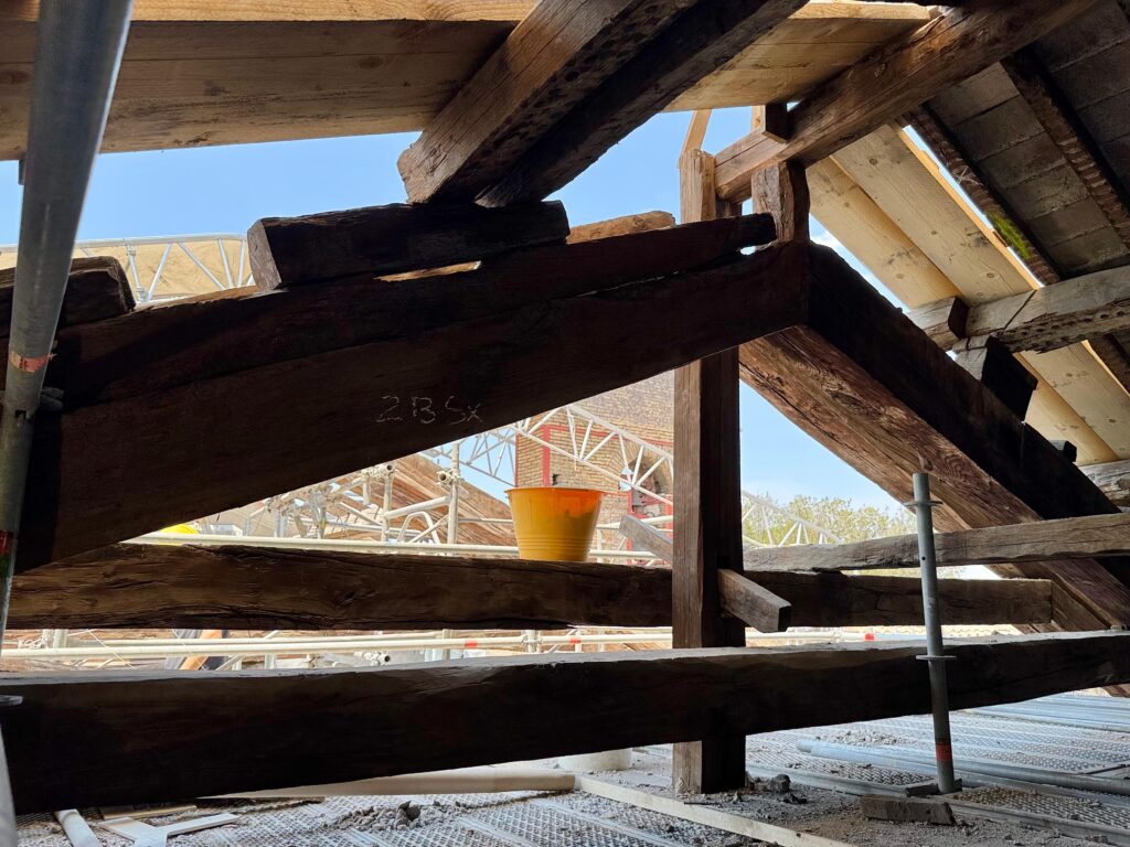 BASILICA DI SANTA BALBINA[INTRA OPERAM]