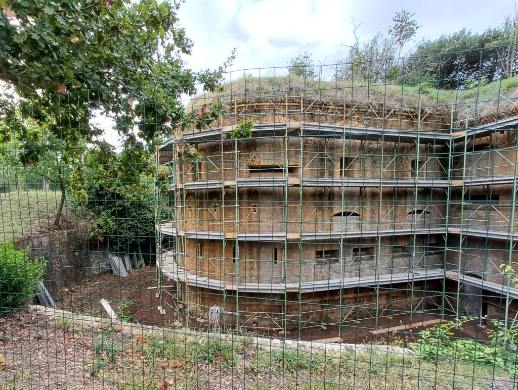 FORTE BRAVETTA [INTRA OPERAM]