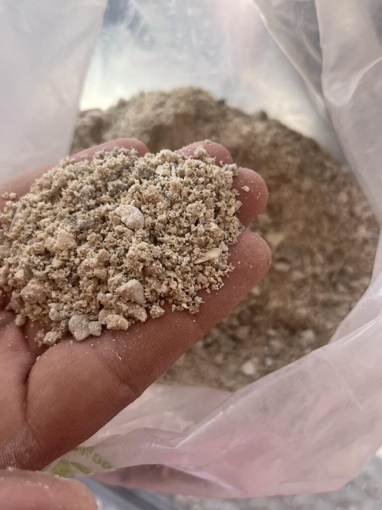 CHIESA DI SANTA MARIA DEL SUFFRAGIO [INTRA OPERAM]