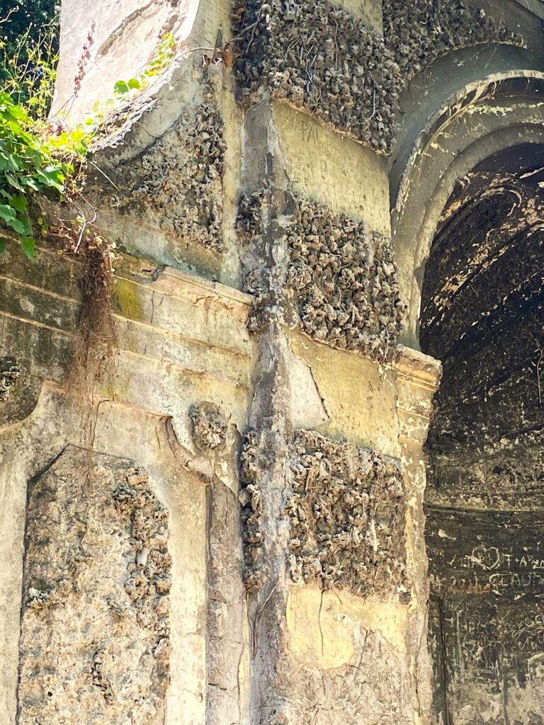 NINFEO DELL’ORTO BOTANICO [ANTE OPERAM]