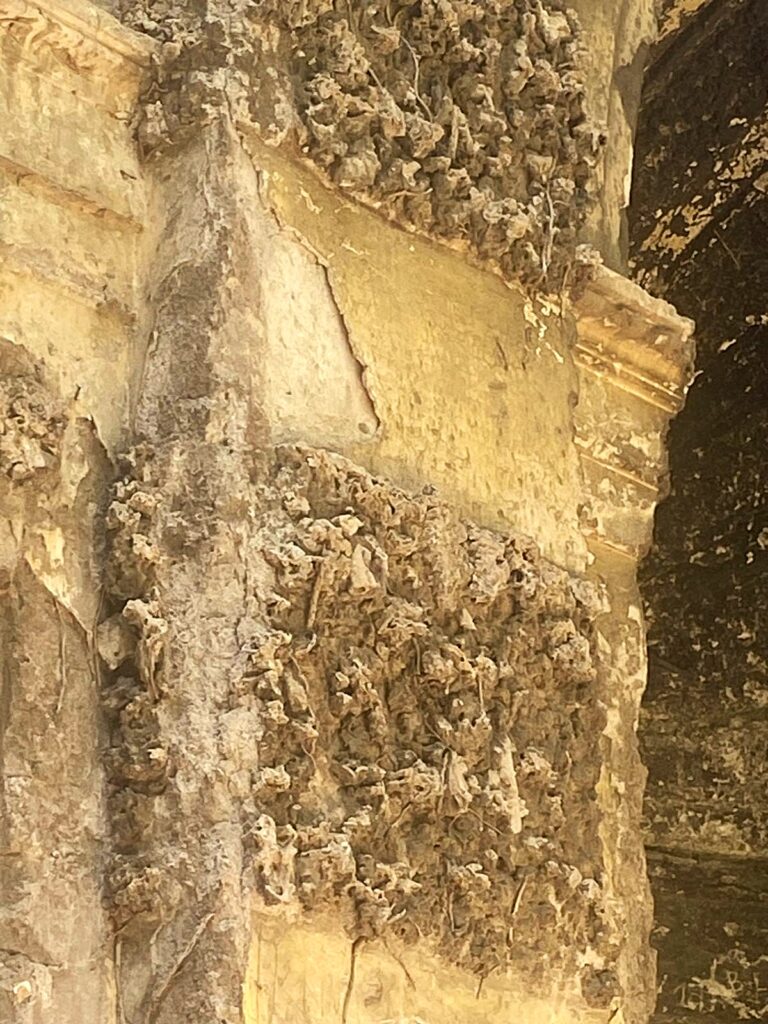 NINFEO DELL’ORTO BOTANICO [ANTE OPERAM]