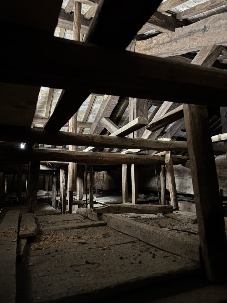 BASILICA DI SANT'AGNESE FUORI LE MURA [INTRA OPERAM]