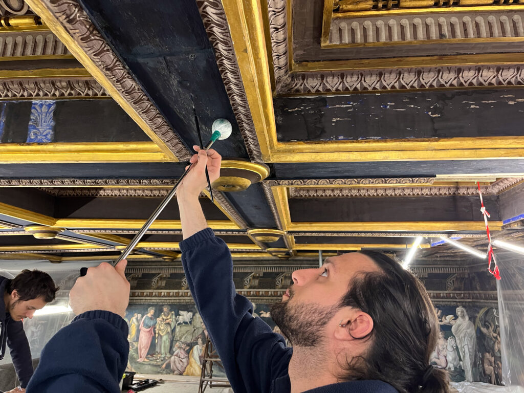 VILLA FARNESINA [INTRA OPERAM]