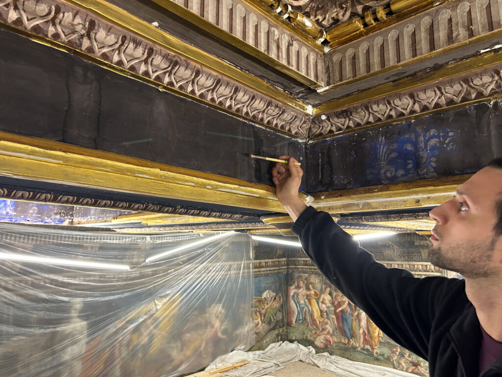 VILLA FARNESINA [INTRA OPERAM]