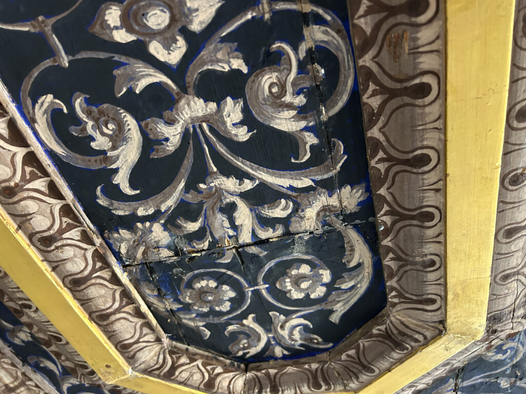 VILLA FARNESINA [INTRA OPERAM]