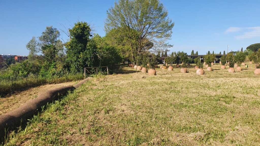 VILLA DI LIVIA [ANTE OPERAM]